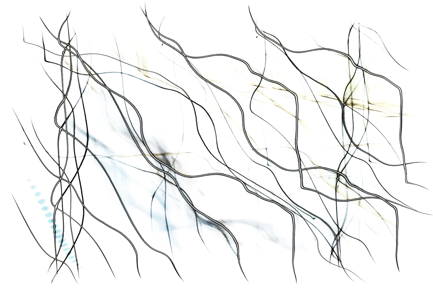"Alternating Currents - Traces of Flow" photo art print