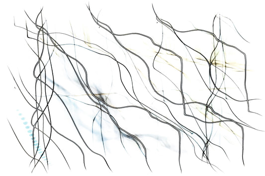 "Alternating Currents - Traces of Flow" photo art print