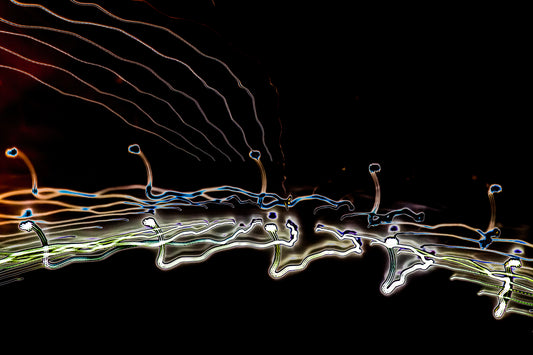 "Angling Hopefully through Darker Hours" photo art print