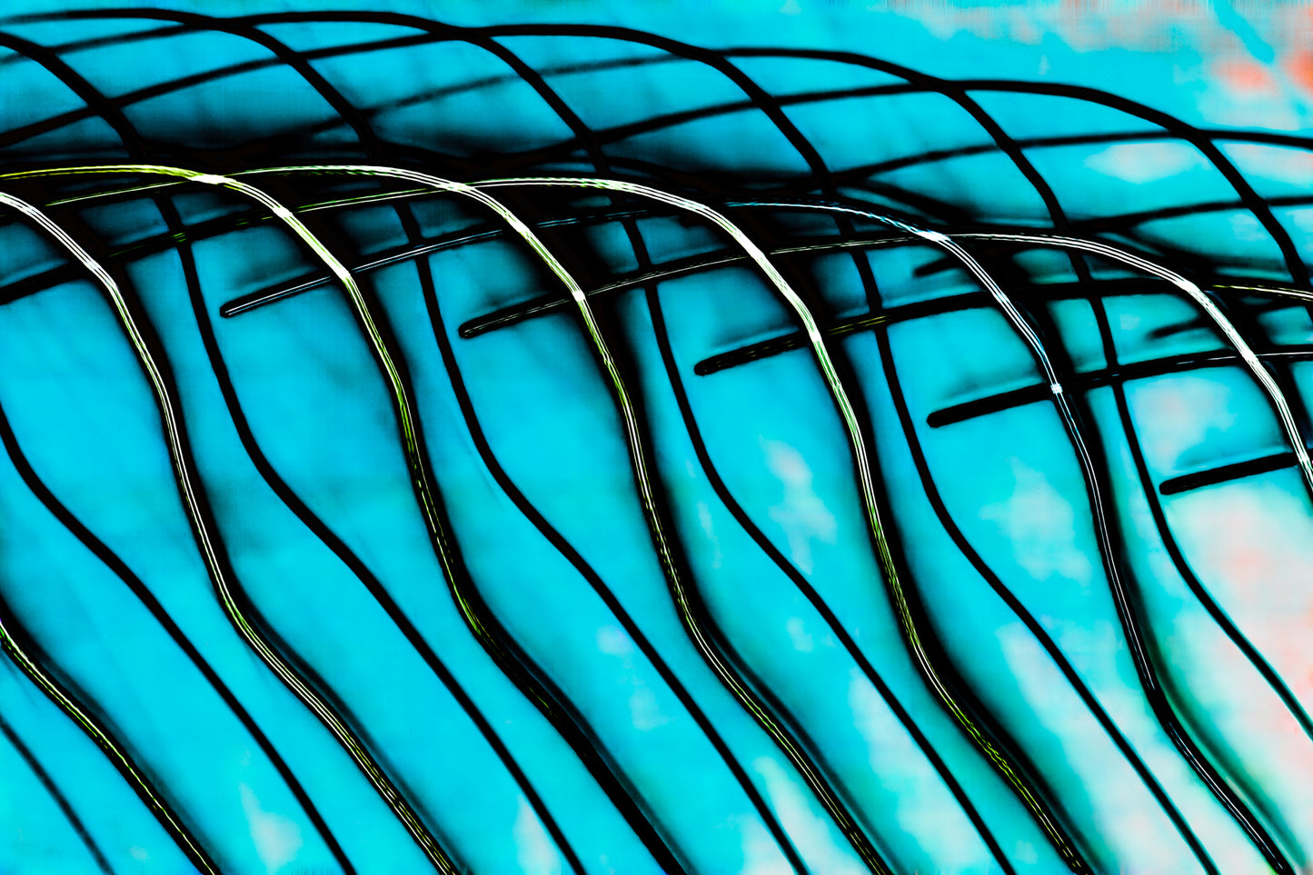 "Arcing Parallels on Blue" photo art print