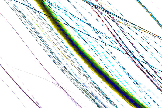 "Glowing Fibers of Longing and Play" photo art print