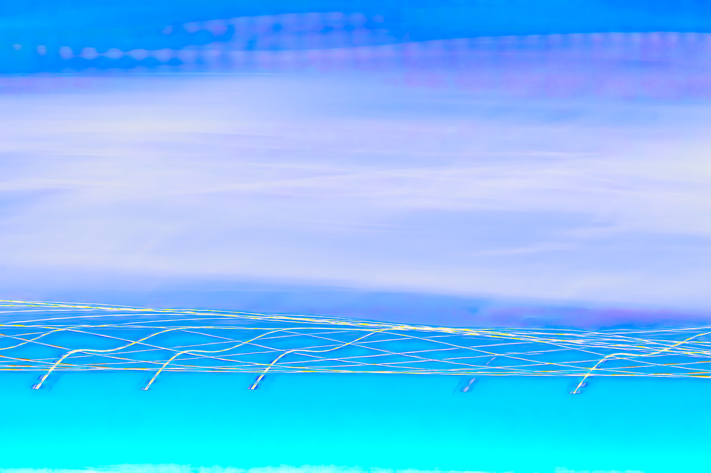 "Lavender Growing Tendrils into Aqua" photo art print