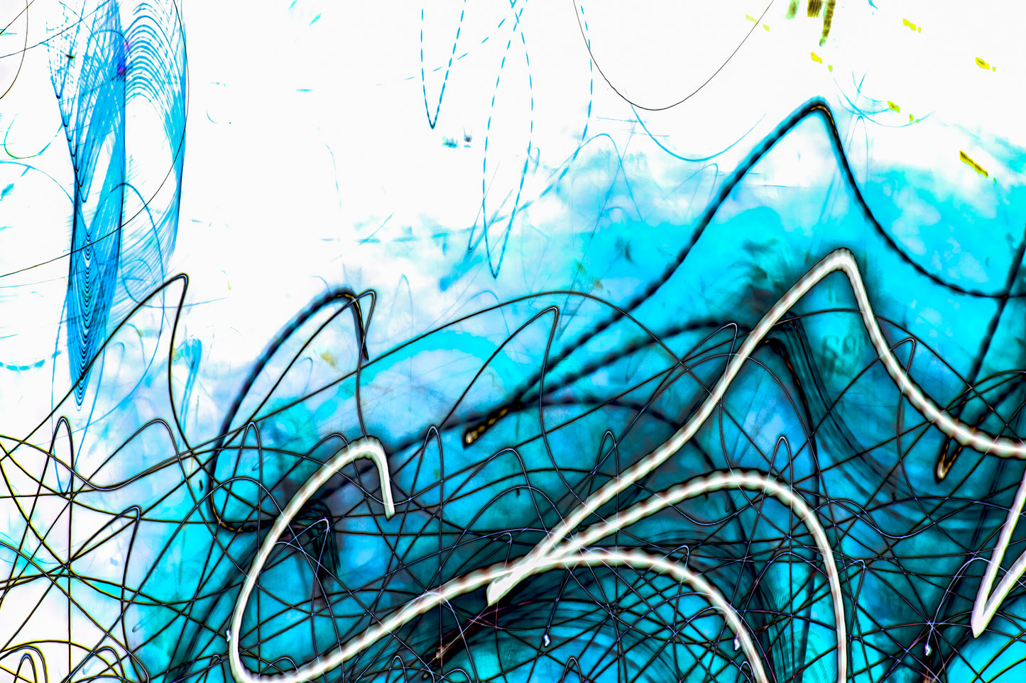 "Layering the Counterpoint of Curves and Lines" photo art print