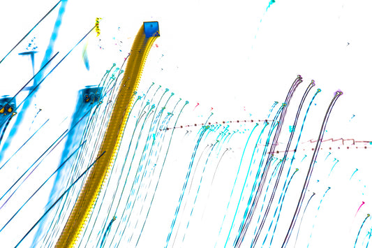 "Manifesting the Temporal Endpoints" photo art print