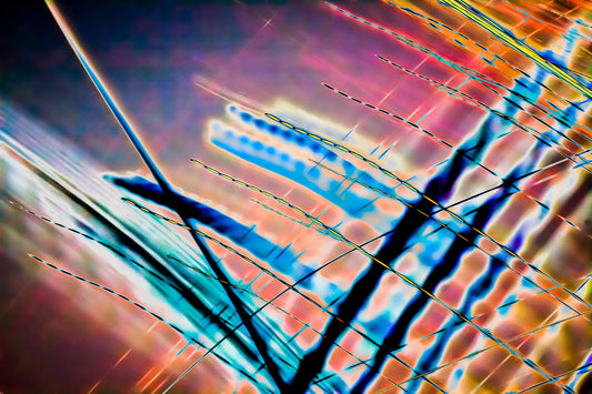 "Quivering Beams on Purple Field" photo art print