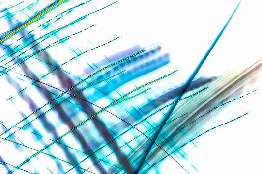 "Quivering Beams on White Field" photo art print