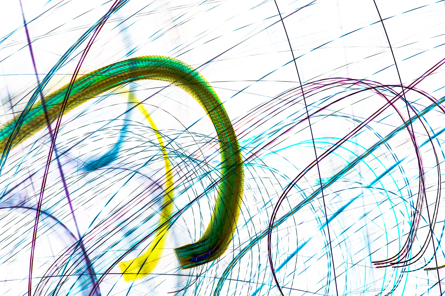 "Rolling Through Some Lively Loops" photo art print